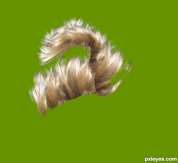 Creation of A Squirrel's "Tale": Step 1